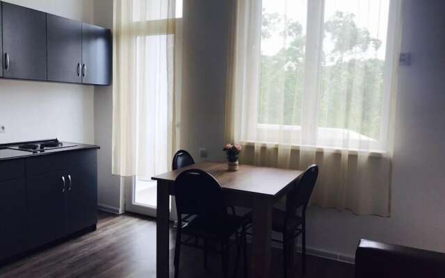 Апарт-отель BlackSeaGeorgia BSG