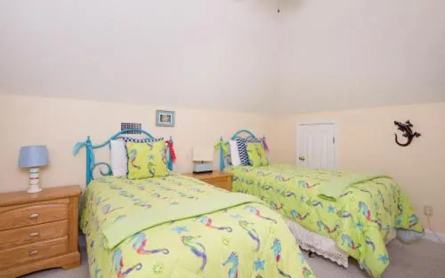 Shellchase by RedAwning