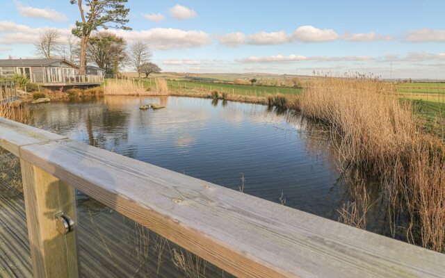 15 Faraway Fields, Liskeard