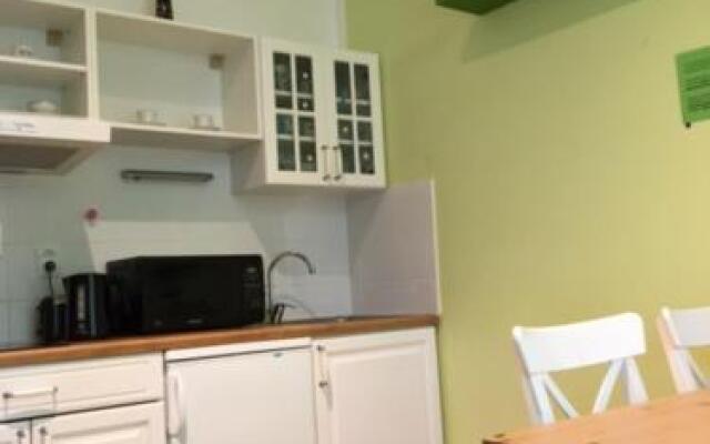 Penthouse Apartment in Vinohrady