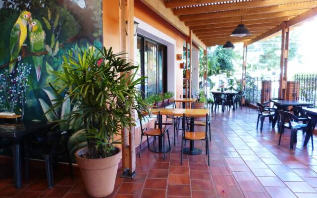 Hostel & Bar Bamboo