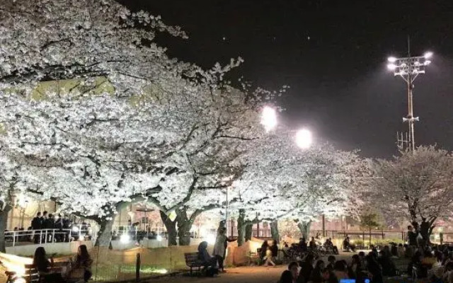 rakuna Inn hare Kinshi2