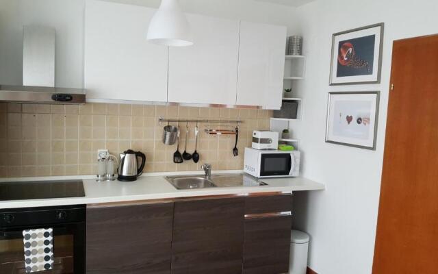 Apartment Roko