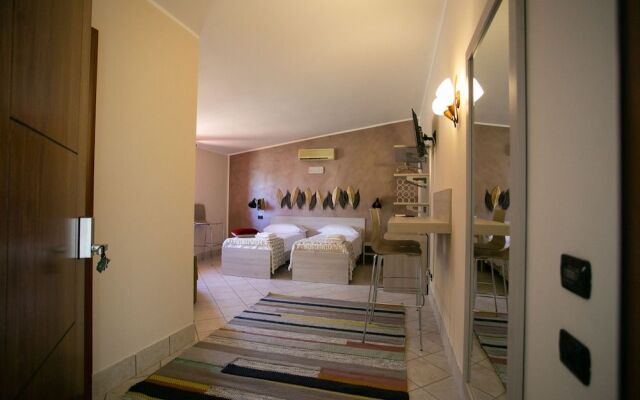 B&B Trepo
