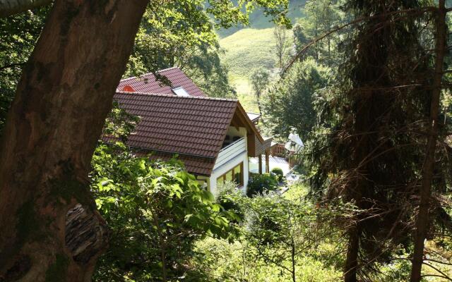 Apartment Haus am Berg, Lonau