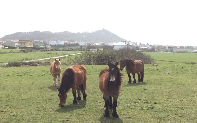 Liencres Apartamentos