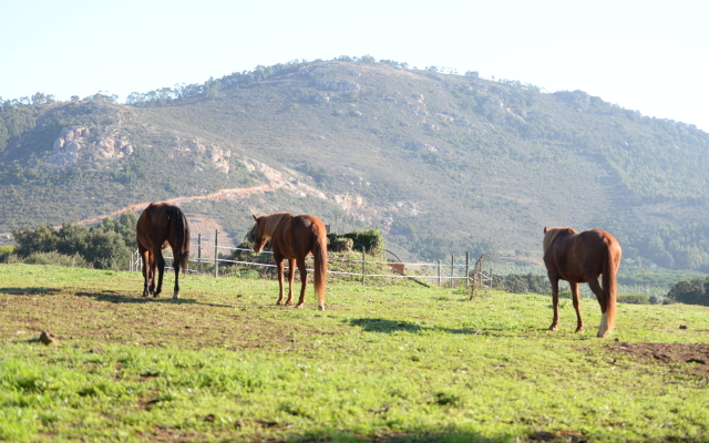 Quinta da Samoqueirinha