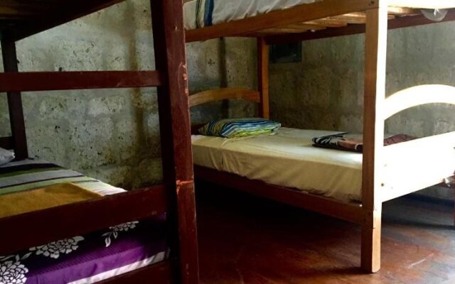 Lion AQP hostel