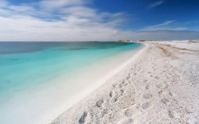 L'araucaria Guest House