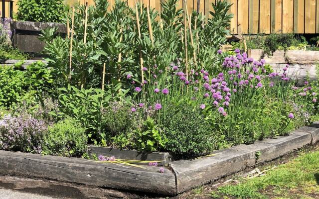 Blue Peaks Apartments