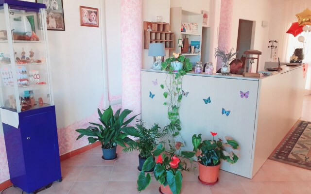 Hotel Bena e Traes