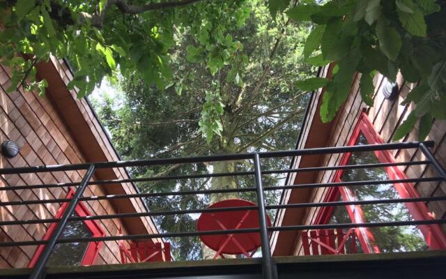 Cabanas Alma Bosque
