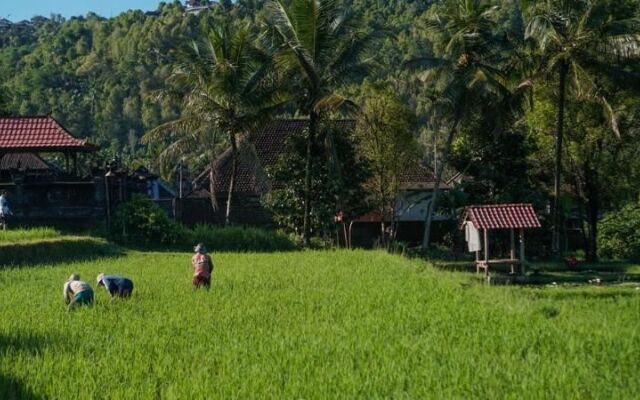 Damarwidi Glamping - Campsite