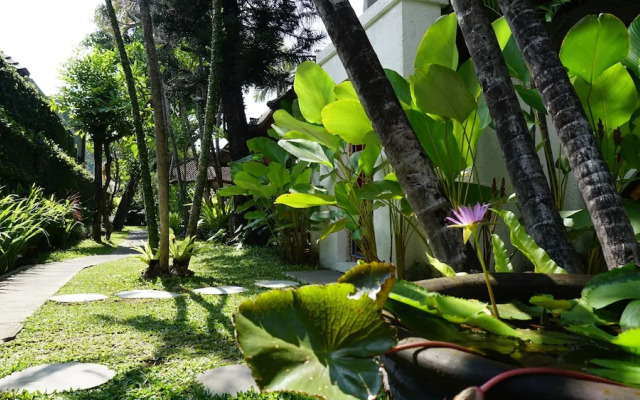 Prima Cottage