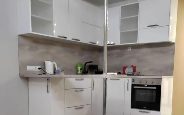 Апартаменты на проспекте Красного Знамени 139