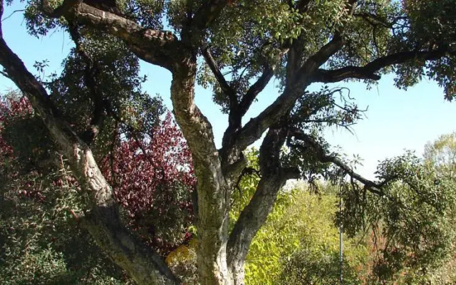 El Mirador De Rocio