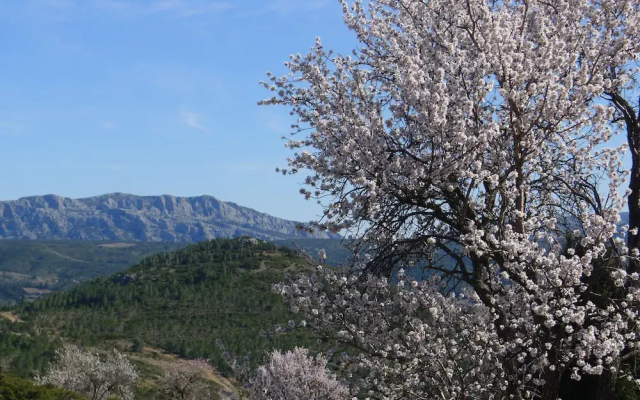 Yourte Nature Saint Roch