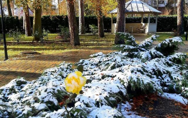 Апарт-отель WoodenVilla