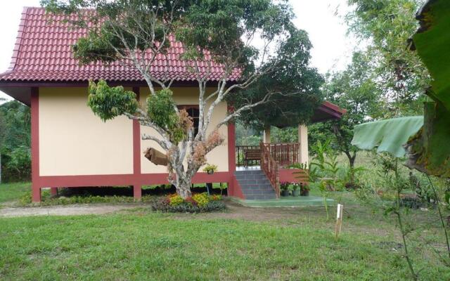 Suancha Tea Garden