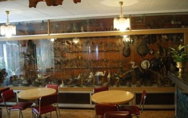Hostal Pirineos Meliz