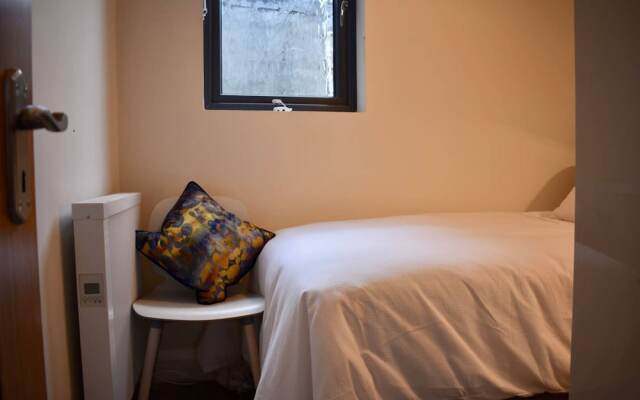 Renovated 2 Bedroom Dublin Flat By City Centre