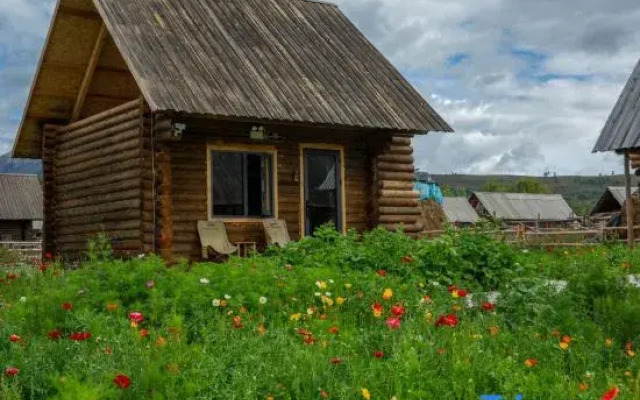 Hemu Lemon Tree Yashe