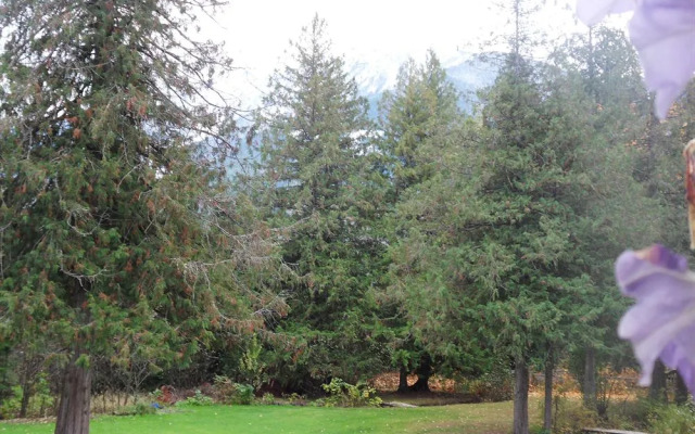 The Hitching Post Motel