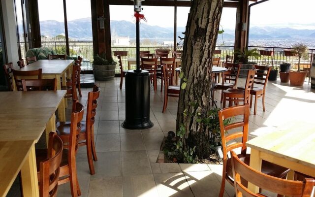 Sorrentino Vini Country House