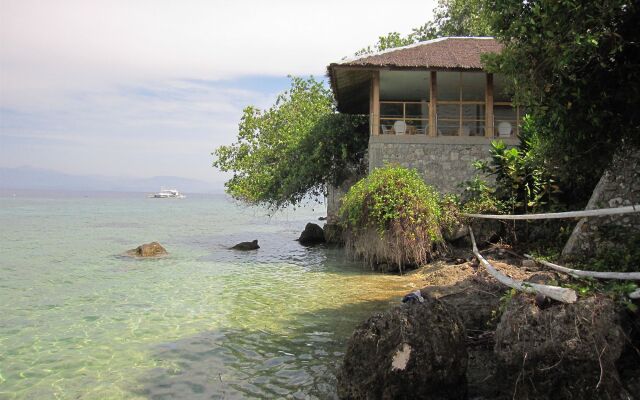 Quo Vadis Dive Resort Moalboal