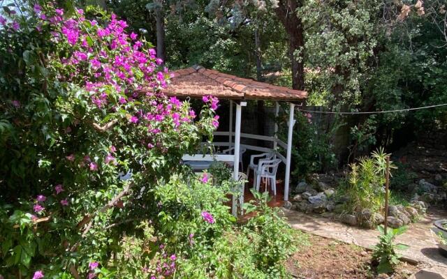 Villetta con piscina 10 posti letto Scario