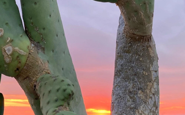 Corte Baracca B&B Suite