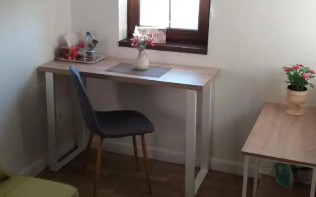 Single Suite Apartment