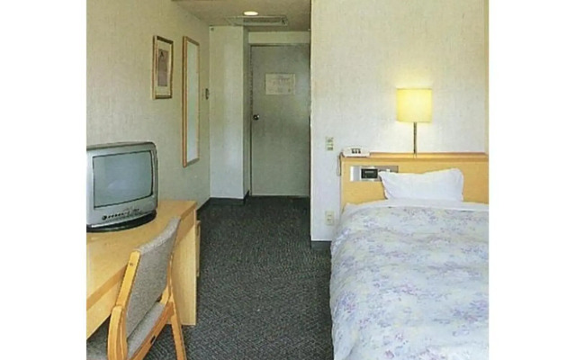 Something Hall Dolphin