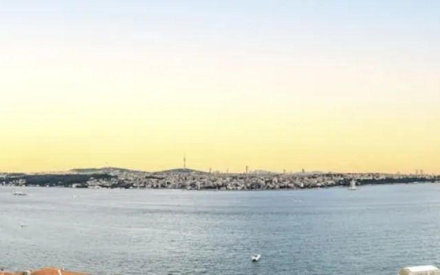 Excellent Flat w 360 Bosphorus View in Cihangir