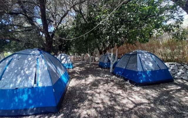 Social Camping JAL