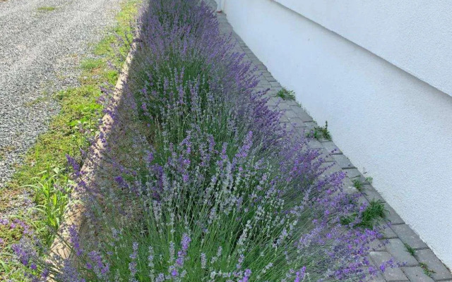 Pensiunea Salina Gymnasium