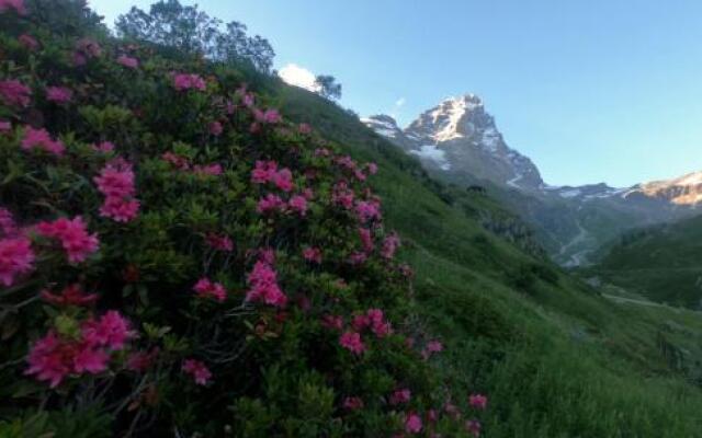 Le Samovar Guest House