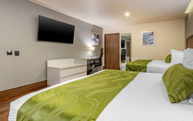 Hotel Chihuahua San Francisco