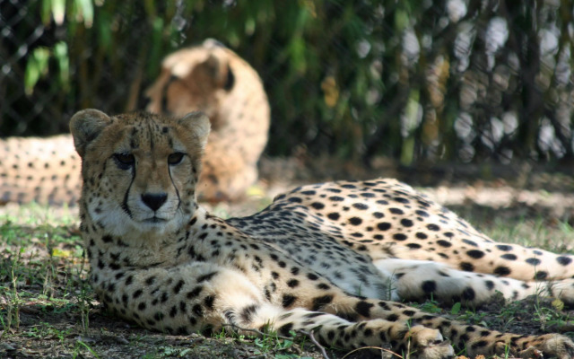 Motel 6 Dallas, TX – Downtown