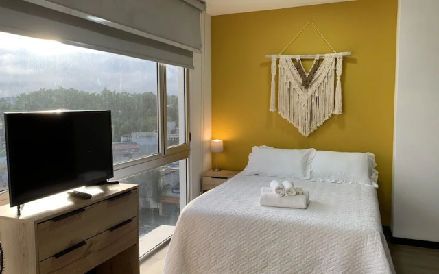 New Cozy Apartment, Zona 4