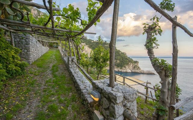Cannaverde - Amalfi Coast Camp
