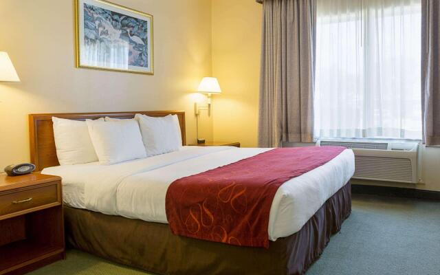 Comfort Suites La Porte - Baytown