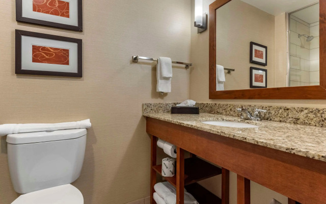 Comfort Suites Bridgeport - Clarksburg