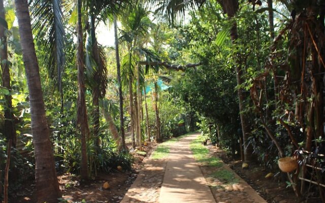OYO 25131 Jungle Book Resort