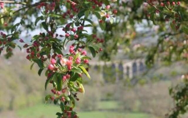 SummerHouse Bed & Breakfast