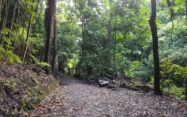 Modern Apartment in Meadowbank