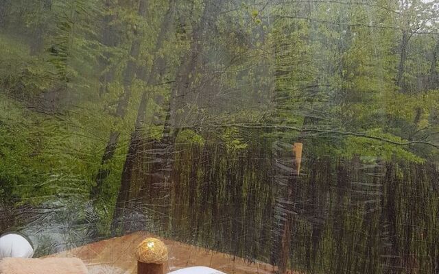 La bulle transparente - La Myrtille