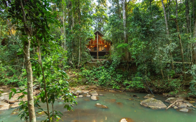 The Canopy Rainforest Treehouses and Wildlife Sanctuary