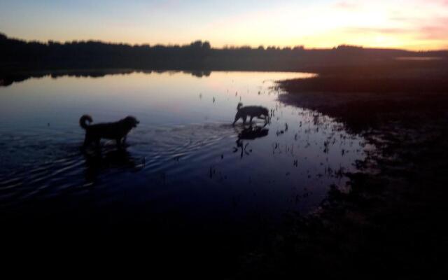 El Paso De Las Ciguenas