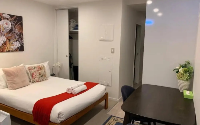 Heart of AKL Modern Studio PoolGymSauna
